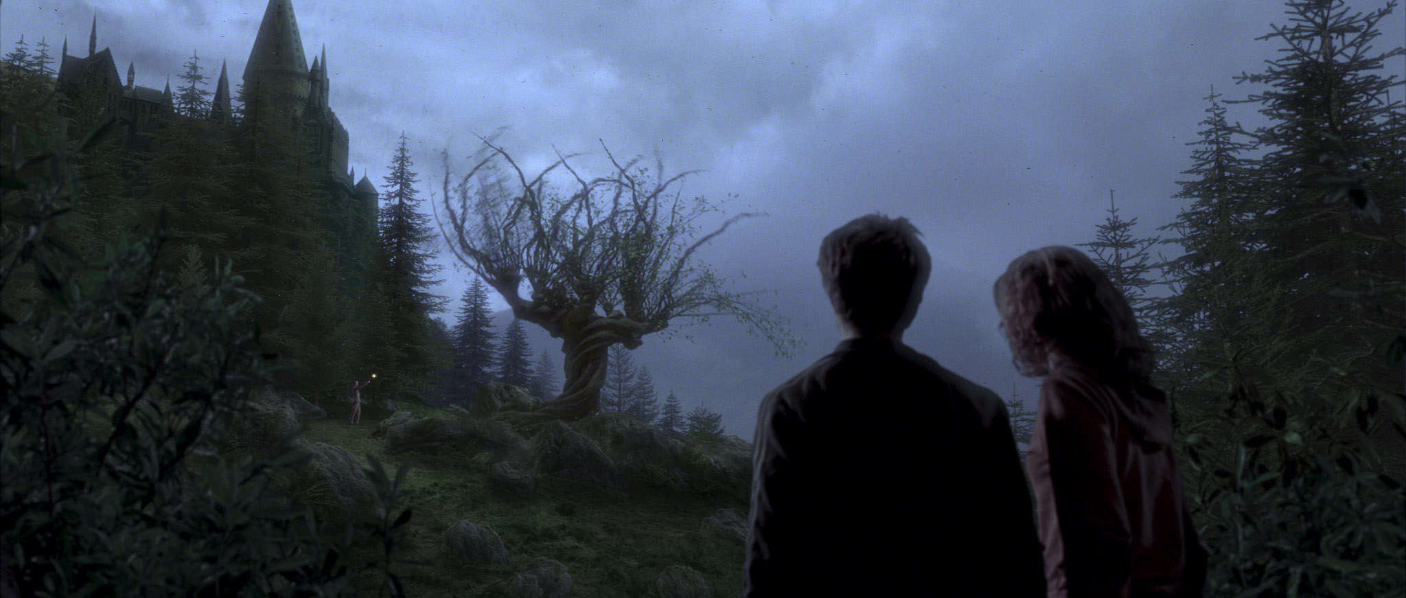 Harry et Hermione... et Lupin