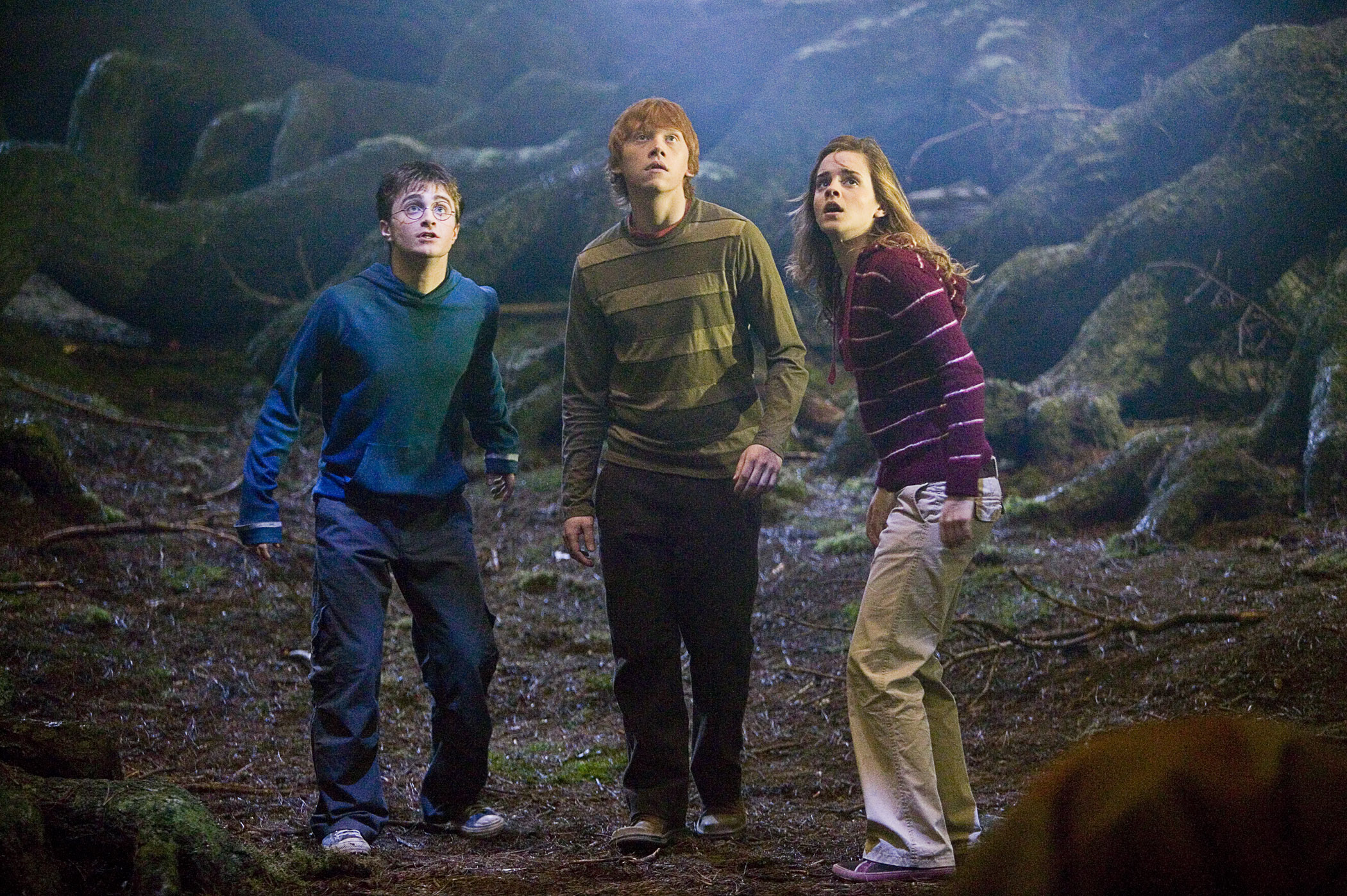 Trio_dans_la_foret.jpg