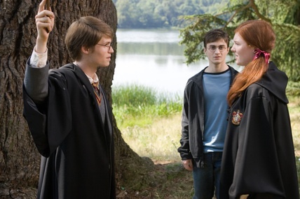 Harry observe ses parents dans la Pensine