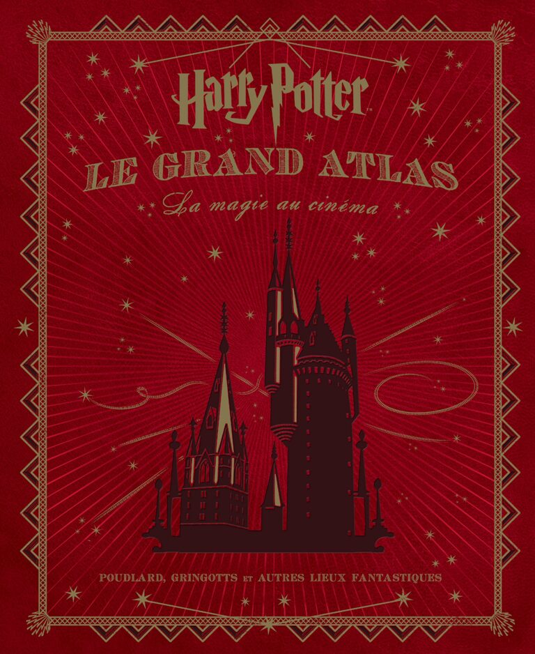Harry Potter Des Romans à L écran