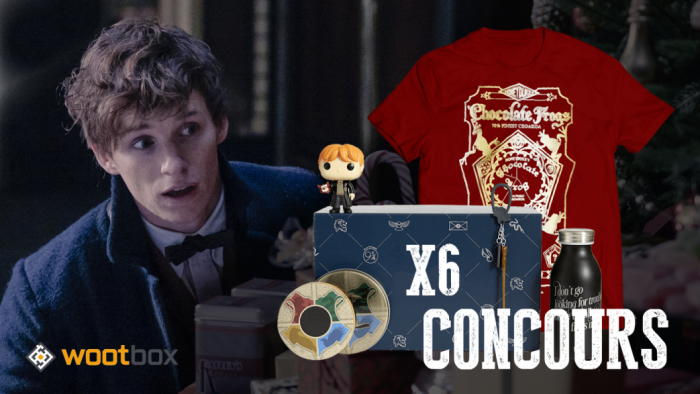 CONCOURS : Gagnez 6 wootbox Harry Potter !