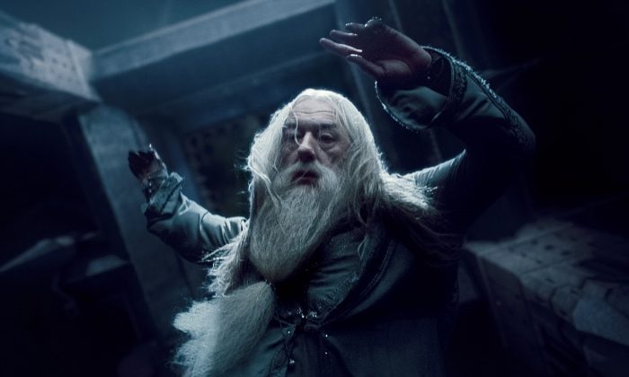 Les Animaux Fantastiques : une mention pour Dumbledore