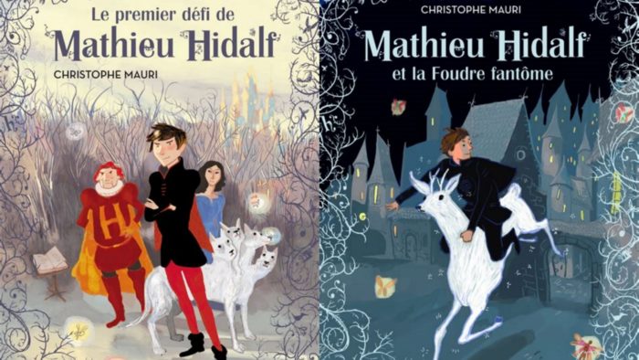 PotterAfter : la série Mathieu Hidalf