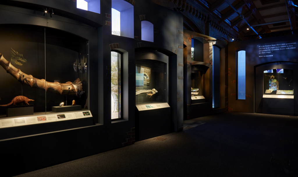 fantastic beasts - wonders of nature salle d'exposition