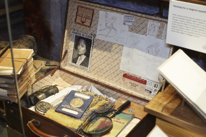 Exclusif : visite de l&rsquo;exposition « Animaux fantastiques : merveilles de la nature »