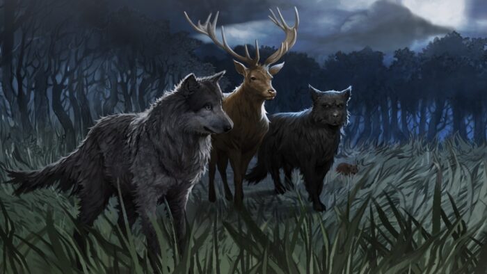 Top 10 des spin-off de Harry Potter qu&rsquo;on voudrait le plus lire