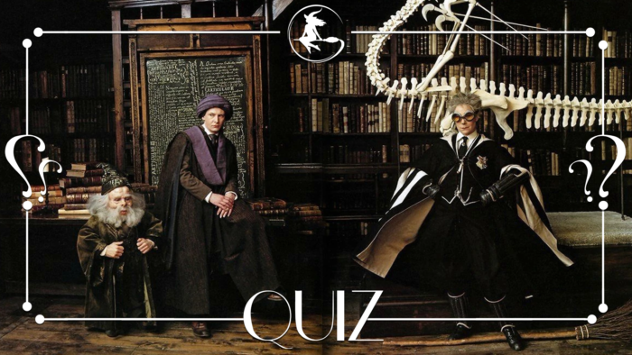 QUIZ : Les professeurs de Poudlard [Difficile]
