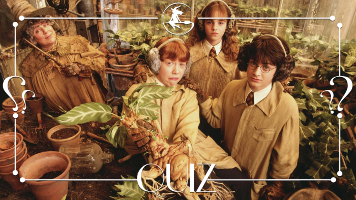 Quiz : Botanique [1ère année]