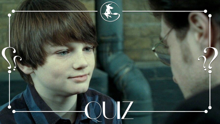 Quiz : les informations Harry Potter post tome 7
