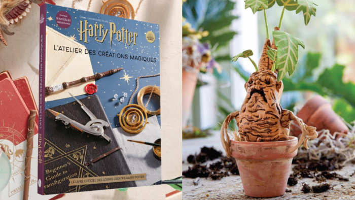 Critique Harry Potter : L’atelier des créations magiques de Huginn&Muginn