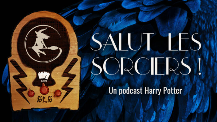 « Salut les Sorciers ! » – Ep 22 – Dans la salle commune des Serdaigle