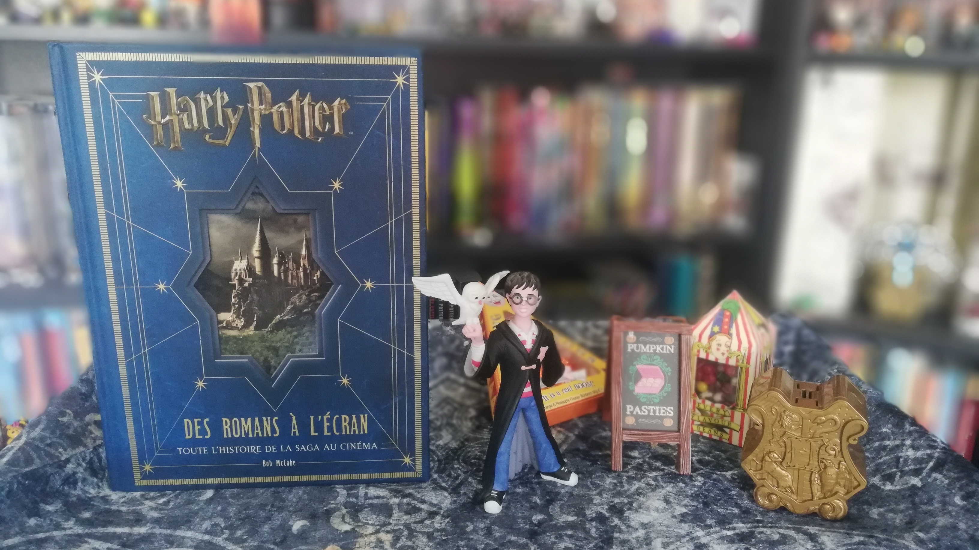 Harry Potter Des Romans à L écran