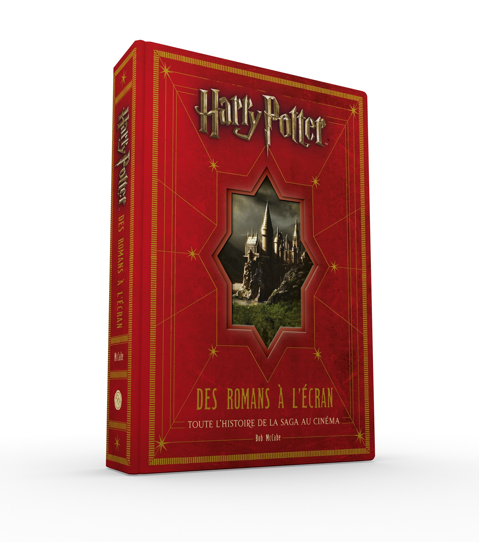 Harry Potter Des Romans à L écran