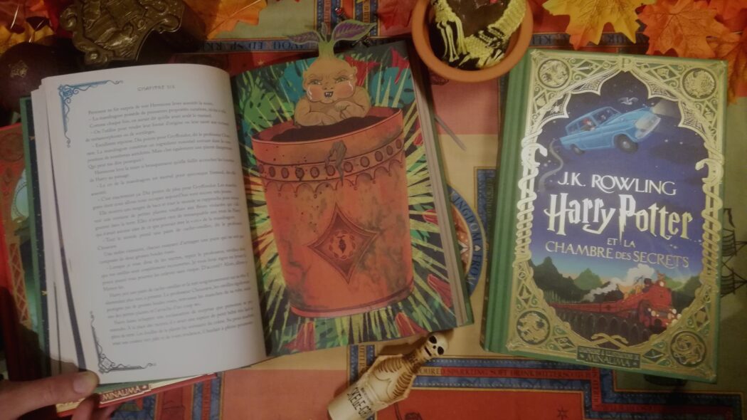 Archives des 2ème tome - La Chambre des secrets — La Gazette du Sorcier