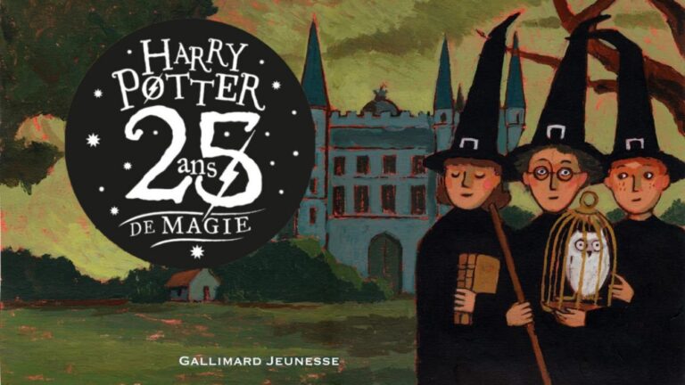 Nouveau coffret collector Folio Junior pour les 25 ans de Harry Potter