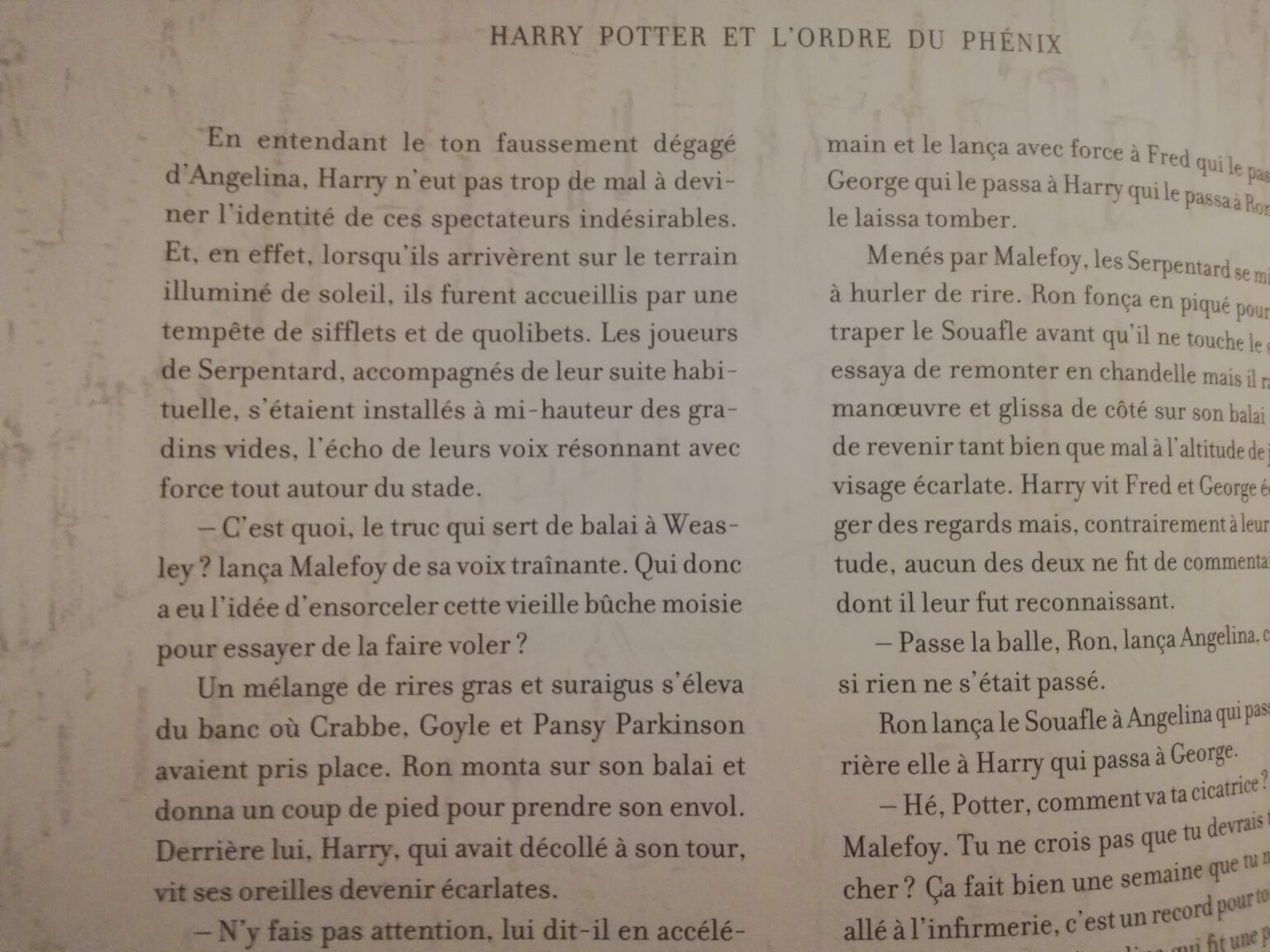 Critique - Harry Potter et l'Ordre du Phénix, illustré par Jim Kay