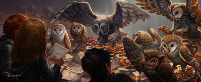 Site de JKR : e-book, maison et hiboux (MAJ)