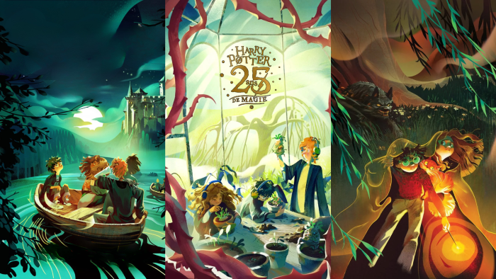 Une édition inédite pour les 25 ans de Harry Potter en Pologne