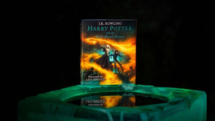 Harry Potter et le Prince de Sang-mêlé illustré sortira le 8 octobre 2026
