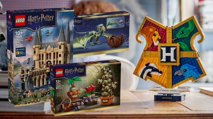 LEGO Harry Potter – les sorties de juin 2026