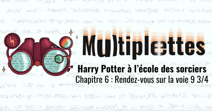 Multiplettes #6 – Harry Potter 1, Chapitre 6 : Rendez-vous sur la voie 9 3/4