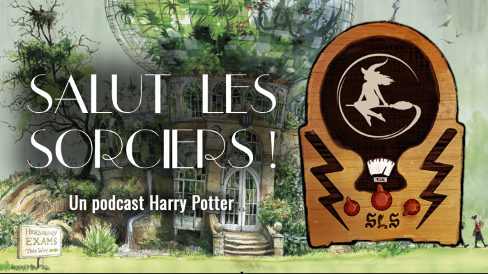 « Salut les sorciers ! » – Ep 69 – L&rsquo;éducation après Poudlard